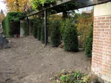 Die Hecke zum Nachbarn ist weg Am linken Bildrand: Überstehende Hecke muss auch noch weichen [03.11.2009] Garten- und Außenanlagen